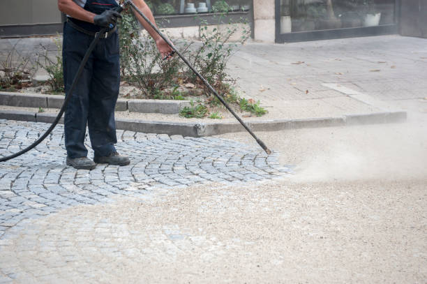 Best Dumpster Area Cleaning  in Gerdine, AL
