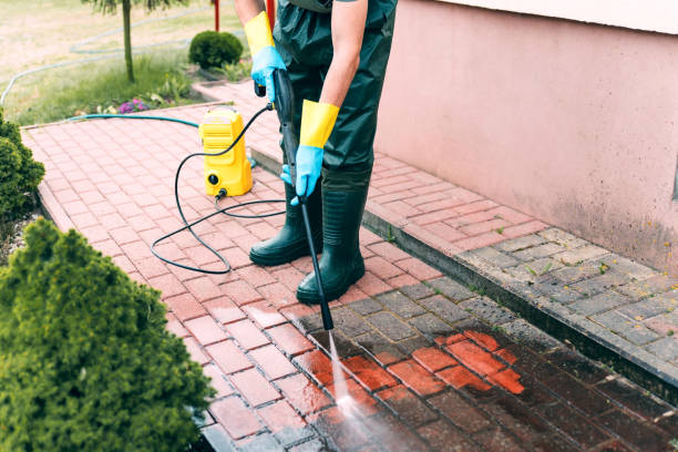 Boat and Dock Cleaning in Geraldine, AL